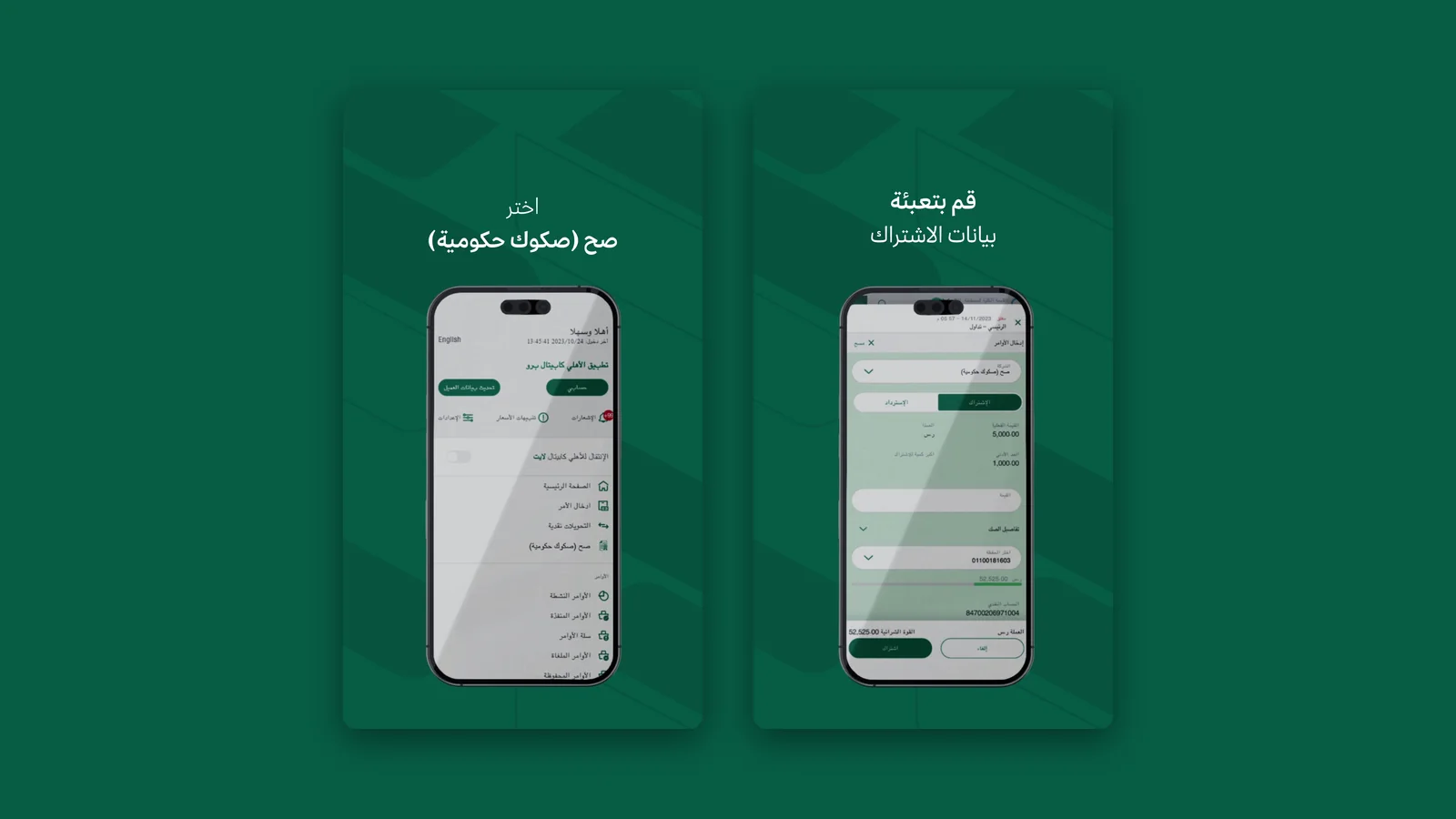 NDMC Sukuk Initiative — visual 5